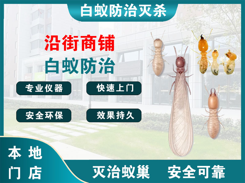 新昌沿街商铺白蚁防治