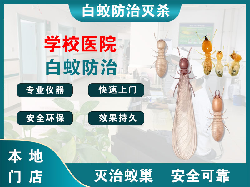 新昌学校医院白蚁防治