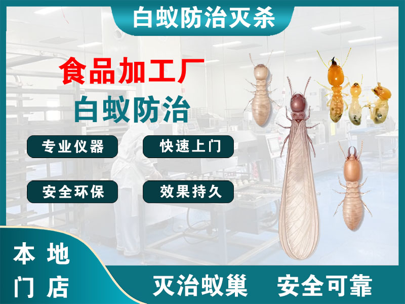 新昌食品加工厂白蚁防治