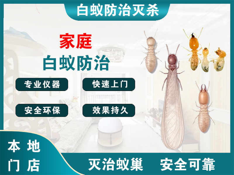新昌家庭白蚁防治
