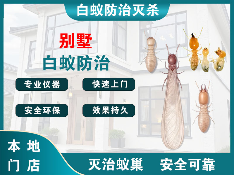 新昌别墅白蚁防治