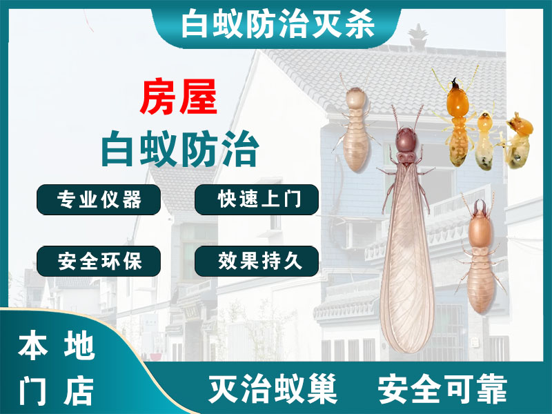 新昌房屋白蚁防治